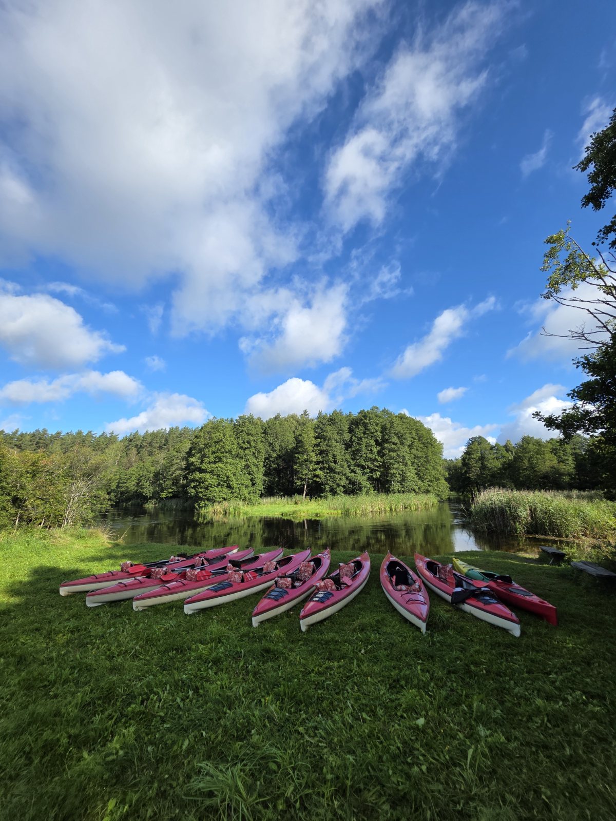 Kayaks on the shore