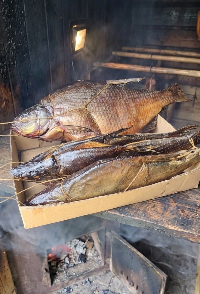 Rūkyta žuvis